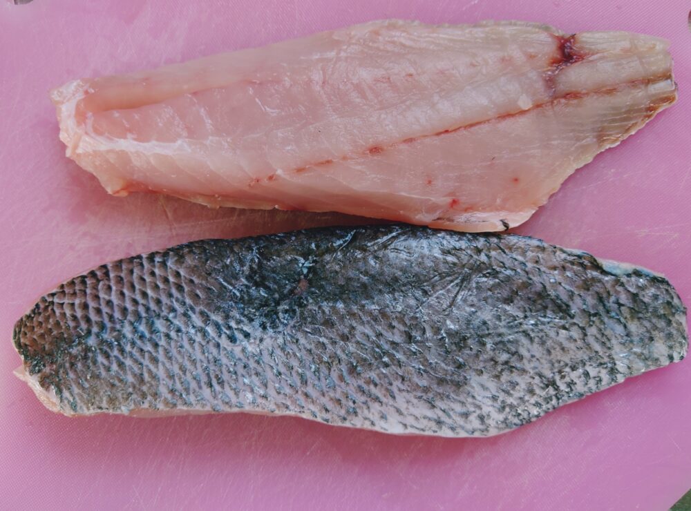 白身魚(カマガリ)のフライ 作り方１