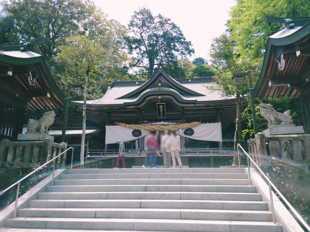 【藤の花の名所・西寒田神社】やわらかい春の陽差しに映える紫