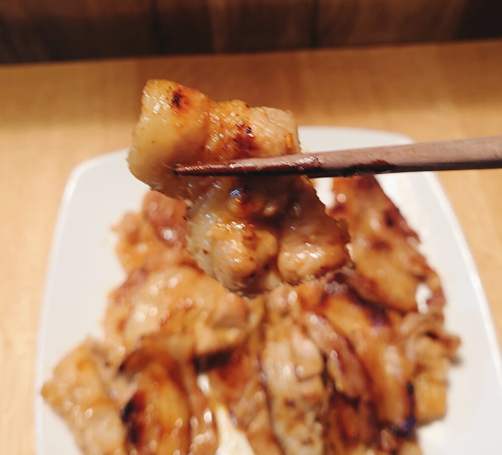 【実食レビュー】伊達のくら「うちホル」牛豚カルビ焼肉用1kgの感想(豚カルビ)